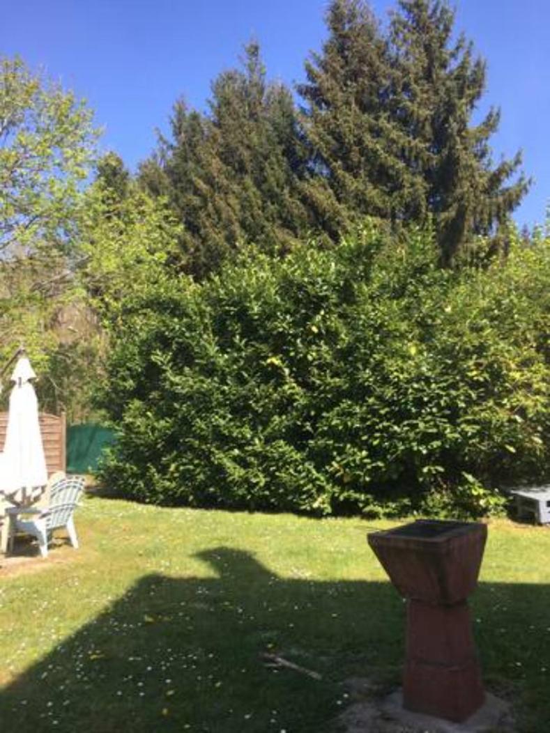 Noisy-sur-Ecole Gite Cosy Proche Fontainebleau Et Foret מראה חיצוני תמונה