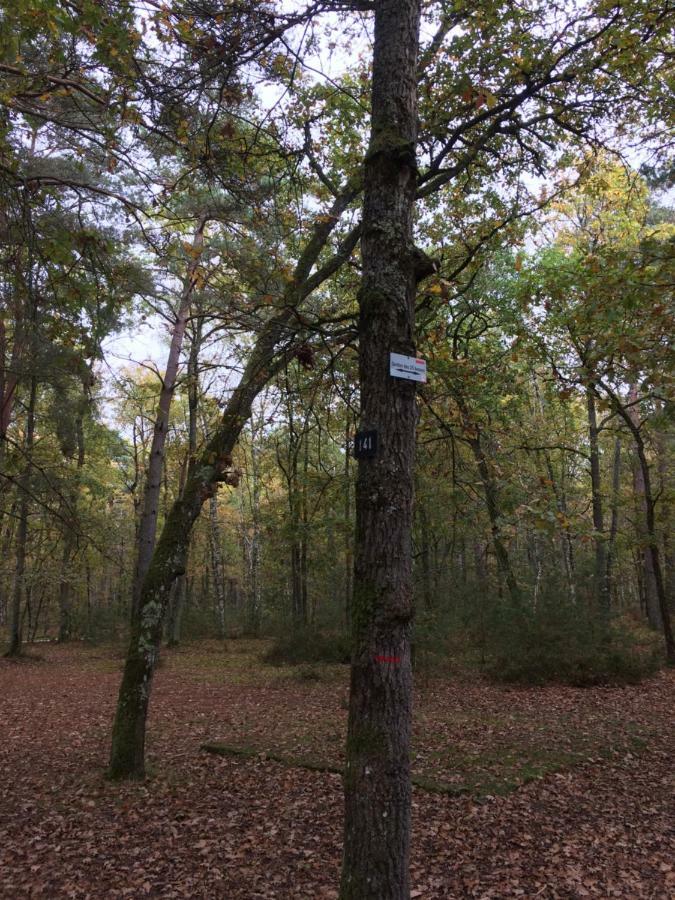 Noisy-sur-Ecole Gite Cosy Proche Fontainebleau Et Foret מראה חיצוני תמונה